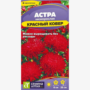 Астра Красный ковер низкорослая/Семена Алтая/цп 0,1 гр.