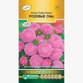 Астра Леди Корал Розовые Сны/ Евросемена