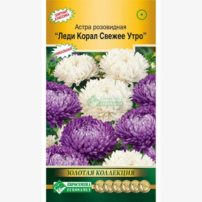 Астра Леди Корал Свежее утро/ Евросемена