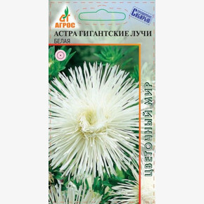 Астра Лучи Белая 0.3г/ Агрос
