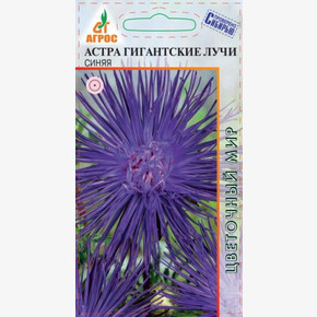 Астра Лучи Синяя 0.3г/ Агрос