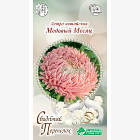 Астра МЕДОВЫЙ МЕСЯЦ китайская 5 шт/ Евросемена