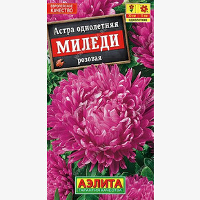 астра Миледи Розовая АЭЛИТА