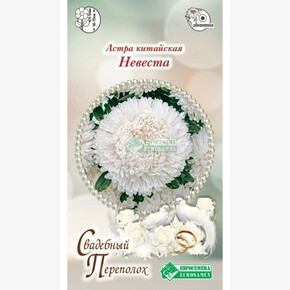 Астра НЕВЕСТА китайская 5 шт/ Евросемена