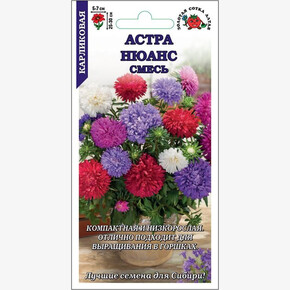 Астра Нюанс смесь /Сотка/ 0,2г/ карлик. 30см, d-7см/*1500