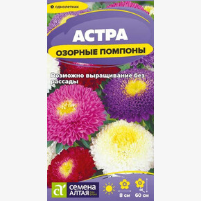Астра Озорные Помпоны/Сем Алт/цп 0,2 гр.
