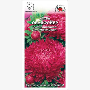 Астра Опалфоейер/ Сотка