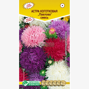 Астра Павлова Евросемена
