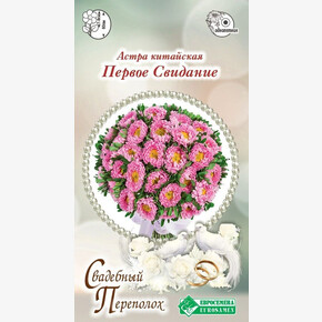 Астра ПЕРВОЕ СВИДАНИЕ китайская 10 шт/ Евросемена