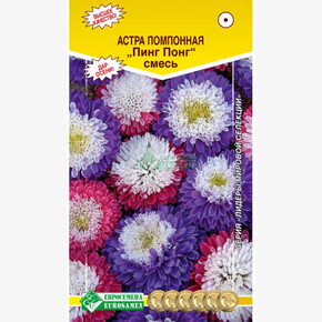 Астра Пинг Понг/ Евросемена