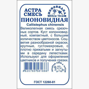 Астра Пионовидная БП/ Сотка