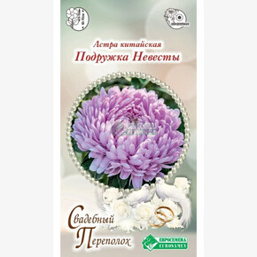 Астра Подружка невесты/ Евросемена
