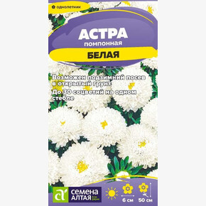 Астра Помпонная Белая/Сем Алт/цп 0,2 гр.