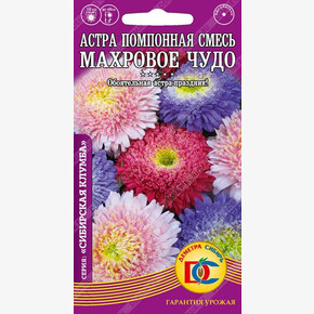 Астра Помпонная смесь Махровое чудо /0,2 гр Дем Сиб/