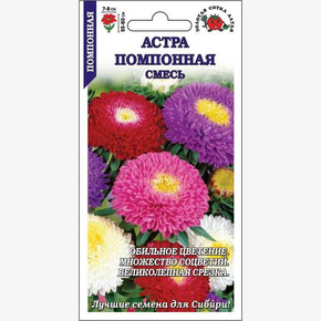 Астра Помпонная смесь/ Сотка