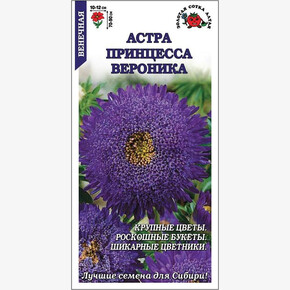 Астра Принцесса Вероника / Сотка