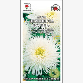 Астра Принцесса Корина/ Сотка