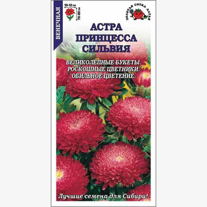 Астра Принцесса Сильвия /Сотка/ 0,2г