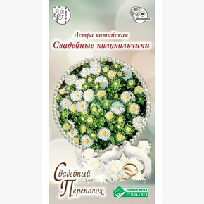 Астра СВАДЕБНЫЕ КОЛОКОЛЬЧИКИ китайская 5 шт/ Евросемена