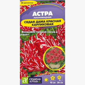 Астра Седая Дама Красная /Сем Алт/цп 0,05 гр.