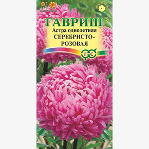 Астра Серебристо-розовая /Гавриш