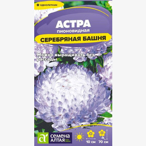 Астра Серебряная башня/Семена Алтая/цп 0,05 гр. (2029 / 4659)