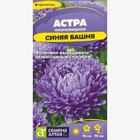 Астра Синяя башня пионовидная/ Семена Алтая 0,2 гр.