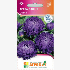 Астра Синяя Башня/Агрос