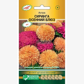 Астра СИРИНГА Осенний Блюз густомахровая (8 шт)/ Евросемена
