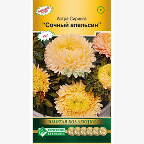 Астра СИРИНГА Сочный апельсин (0,1 гр)/ Евросемена