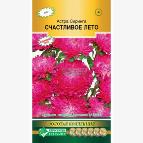 Астра Сиринга Счастливое Лето/ Евросемена