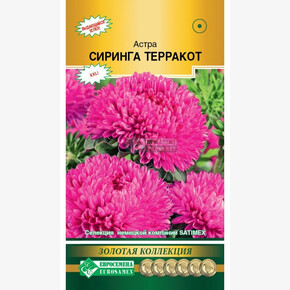 Астра СИРИНГА ТЕРРАКОТ густомахровая 0,1 гр/ Евросемена