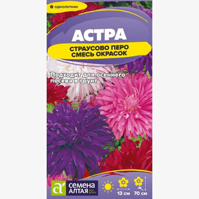 Астра Страусово Перо Смесь окрасок/Сем Алт/цп 0,2 гр.
