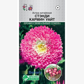 Астра СТЭНДИ КАРМИН УАЙТ китайская 10 шт/ Евросемена