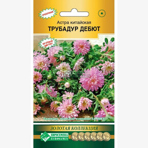 Астра ТРУБАДУР Дебют китайская 10шт/ Евросемена