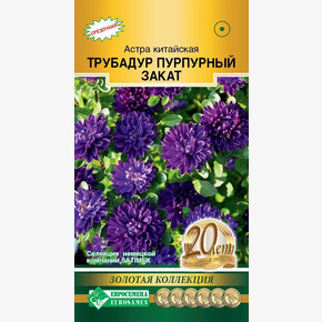 Астра Трубадур Пурпурный Закат китайская 10шт/ Евросемена