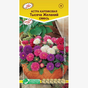 Астра Тысяча желаний смесь/ Евросемена