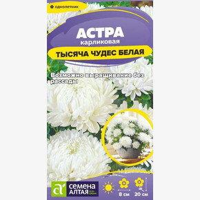 Астра Тысяча чудес белая /Сем Алт/цп 0,15 гр.