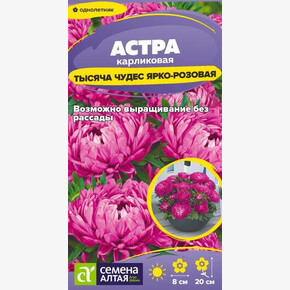 Астра Тысяча чудес ярко-розовая /Сем Алт/цп 0,15 гр.