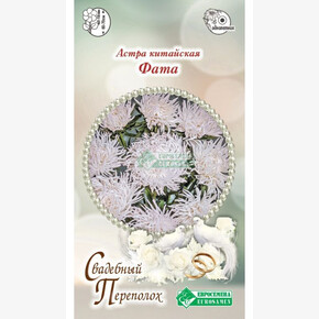 Астра Фата/ Евросемена