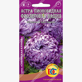 Астра Фиолетовая башня пионовидная /0,2 гр Дем Сиб/