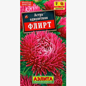 Астра Флирт/ Аэлита