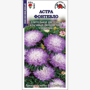 Астра Фонтебло/ Сотка