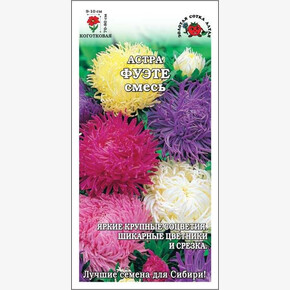 Астра Фуэте/ Сотка