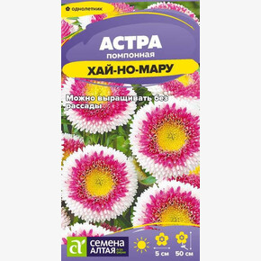 Астра Хай-но-мару помпонная/Семена Алтая/цп 0,1 гр. (2028 / 32147)