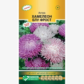 Астра ХАМЕЛЕОН Блу Фрост китайская 5 шт/ Евросемена