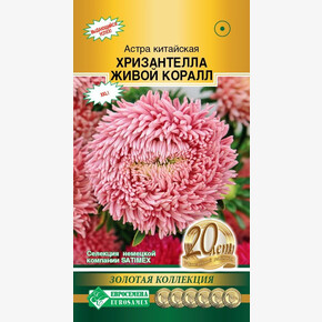 Астра Хризантелла Живой Коралл китайская 5шт/ Евросемена