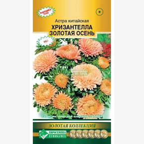 Астра ХРИЗАНТЕЛЛА Золотая осень (5 шт)/ Евросемена