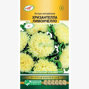 Астра ХРИЗАНТЕЛЛА Лимончелло (5 шт)/ Евросемена