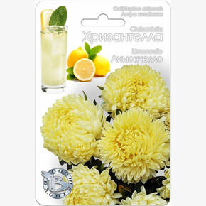 Астра Хризантелла Лимончелло /Биотехника/40шт